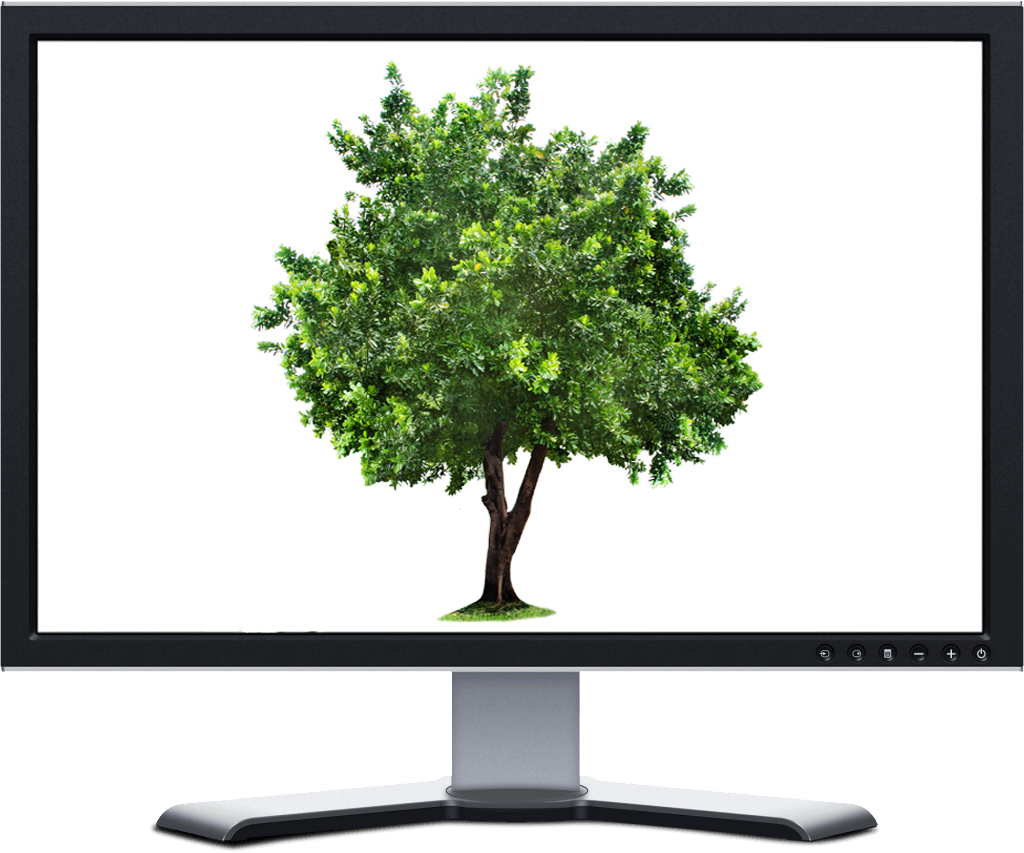 Tree in Computer